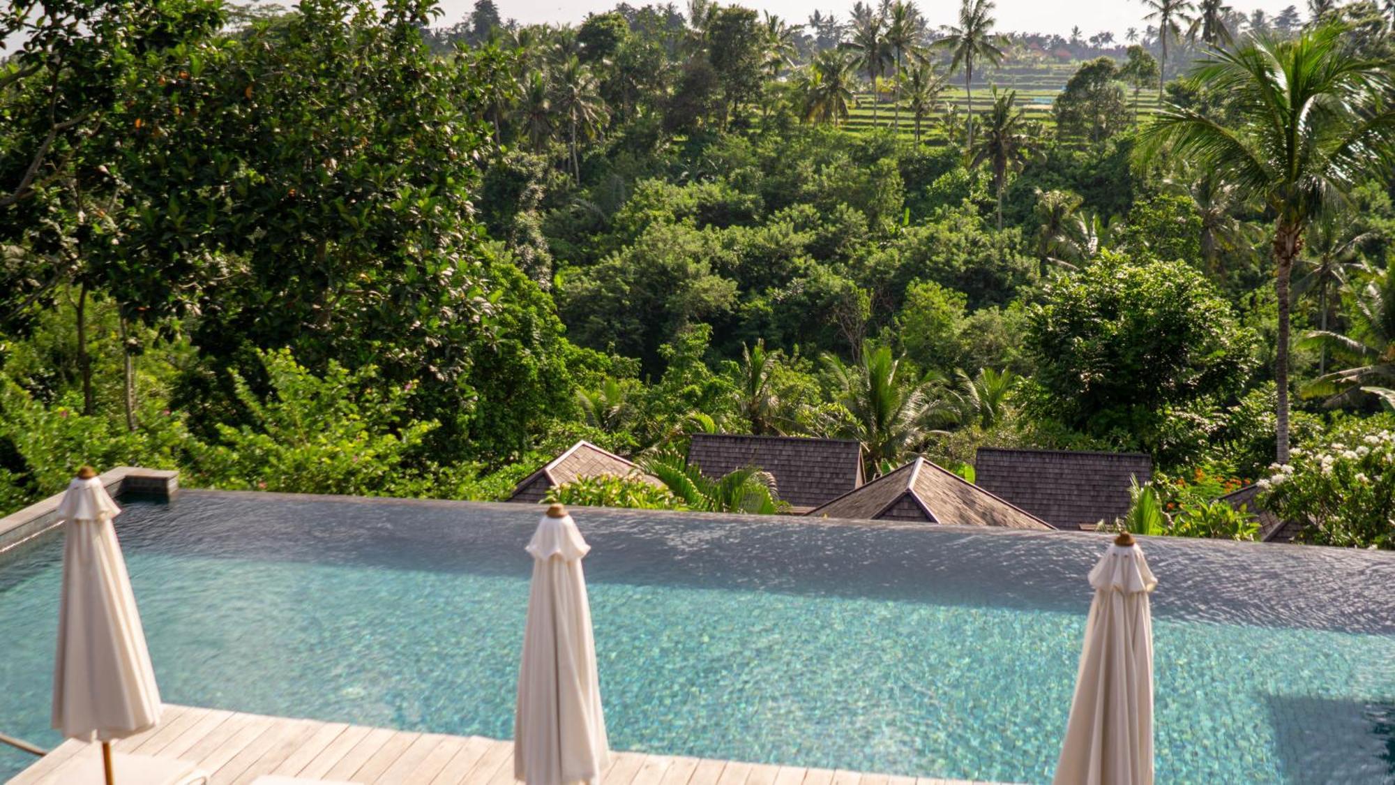 Hotel Tejaprana Bisma - Chse Certified Ubud Exteriér fotografie View from the pool
