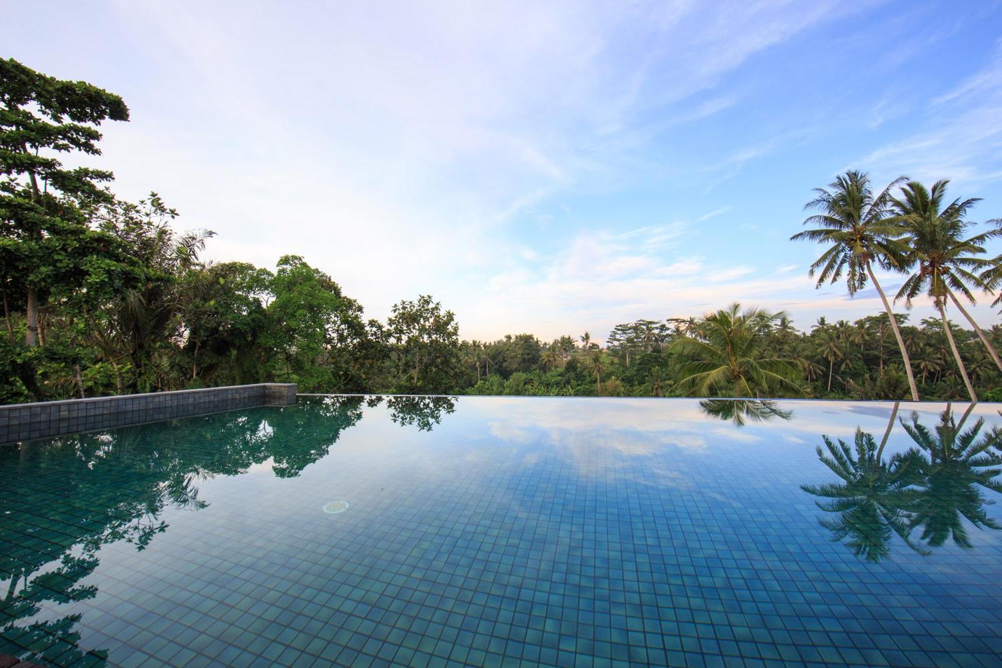 Hotel Tejaprana Bisma - Chse Certified Ubud Exteriér fotografie Infinity pool at the Alila Manggis